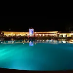 Resort Palm Wings