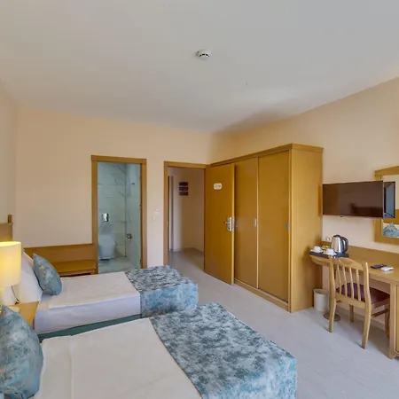 Palm Wings ディディム