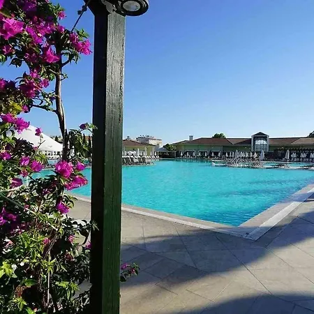 リゾート Palm Wings ディディム