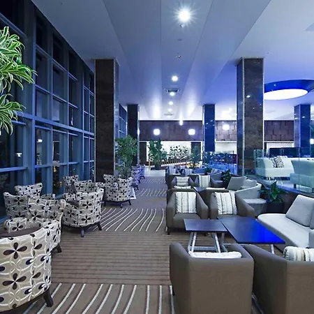 リゾート Palm Wings