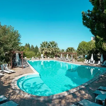 Palm Wings ディディム