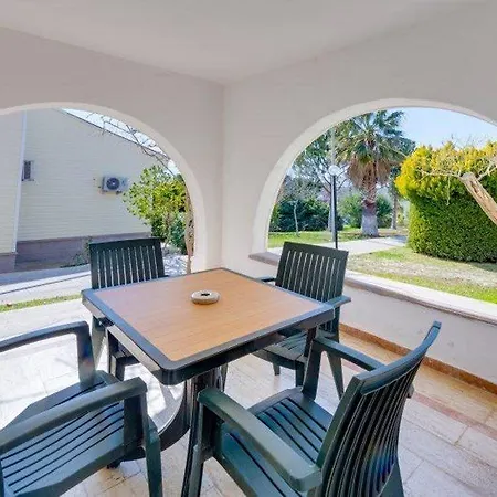 リゾート Palm Wings