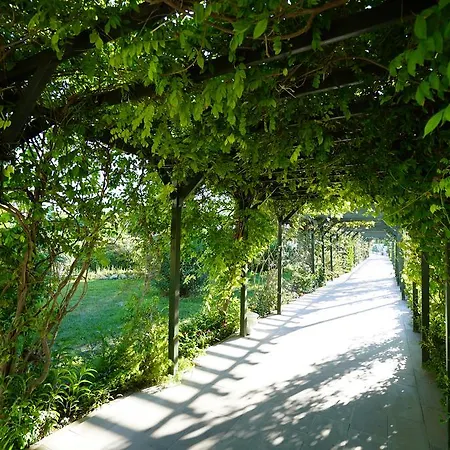 リゾート Palm Wings 5*