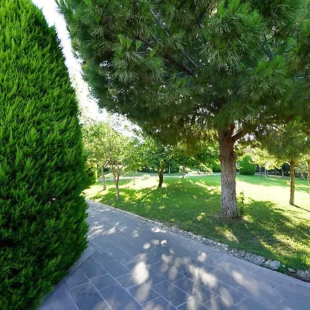 Курортный комплекс Palm Wings 5*