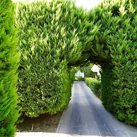 リゾート Palm Wings 5*