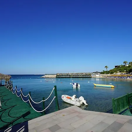 Palm Wings Дидим