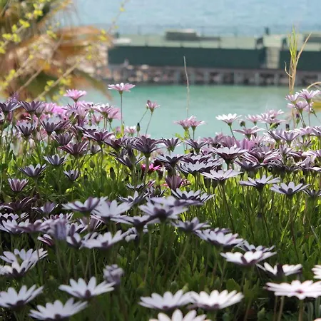 Palm Wings リゾート 5*