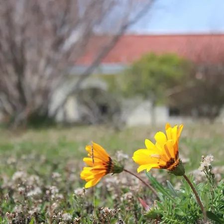 Palm Wings リゾート