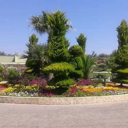 Palm Wings Курортный комплекс