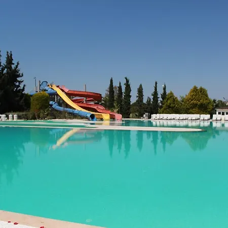 リゾート Palm Wings 5*