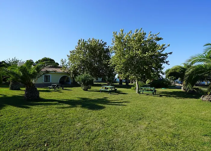 Resort Palm Wings 5*