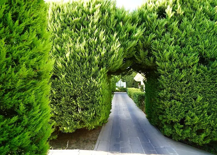 Resort Palm Wings 5*