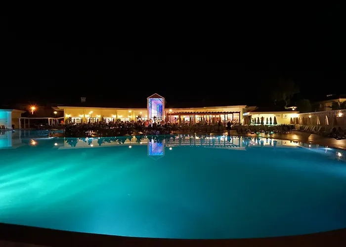 Resort Palm Wings