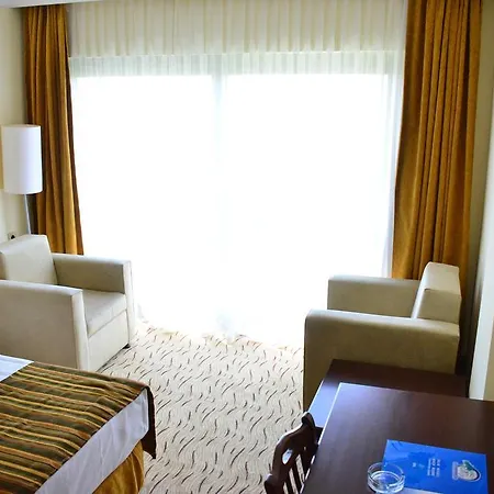 Palm Wings דידים