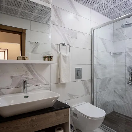 Palm Wings דידים