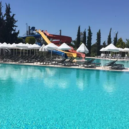 Semesteranläggning (resort) Palm Wings 5*
