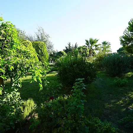 Palm Wings Didim