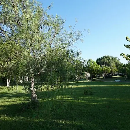 אתר נופש Palm Wings דידים