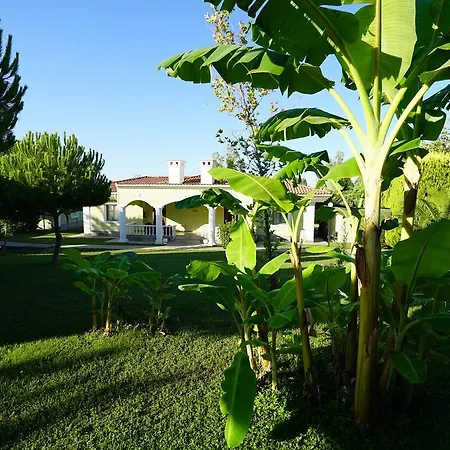 אתר נופש Palm Wings