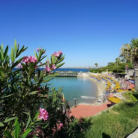 אתר נופש Palm Wings