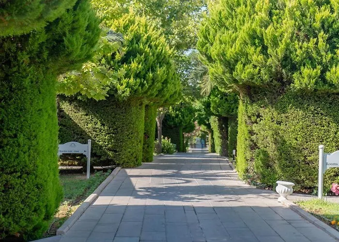 Rezort Palm Wings 5*