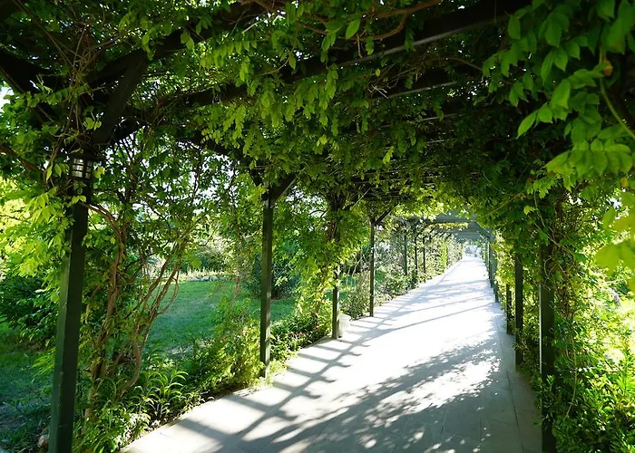 Resort Palm Wings 5*