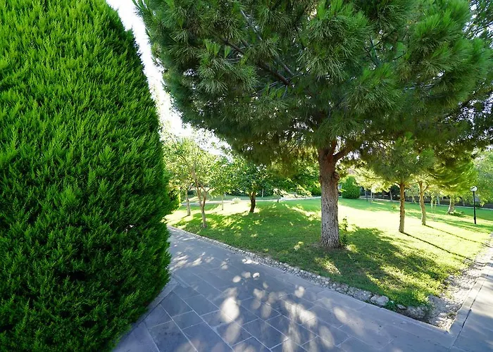 Rezort Palm Wings 5*