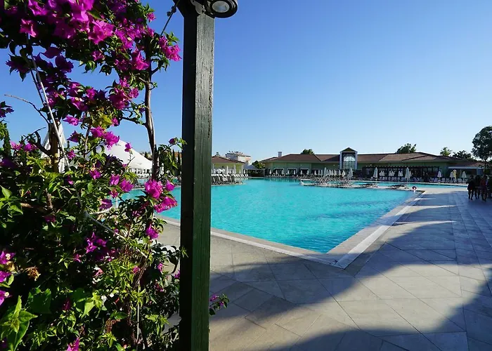 Resort Palm Wings 5*