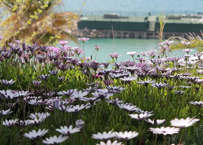 Palm Wings Resort 5*